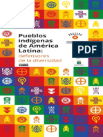 Pueblos Indígenas de América Latina:: Defensores de La Diversidad
