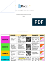 Accede A Apuntes, Guías, Libros y Más de Tu Carrera: Colecistitis-Colelitiasicolangitiscoledocolitiasi 2 Pag