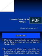 Insuficiencia Renal Aguda: Profesor: Mcs Fernando Vera P