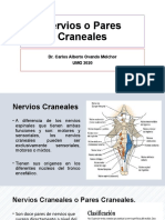 Nervios o Pares Craneales: Dr. Carlos Alberto Ovando Melchor UMG 2020