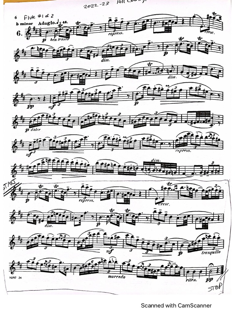 202223 Flute All State PDF