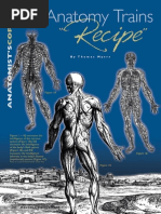 Tom Myers Anatomy Trains Pdf