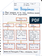 Actividad No.2 Biólogia 