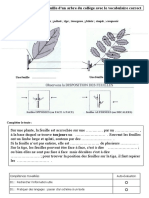 Activité Vocabulaire Feuille