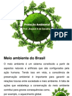 Proteção Ambiental no Brasil