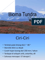 Bioma Tundra