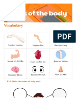 Topic Parts of The Body