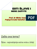 Bolesti Šljive I: Mere Zaštite