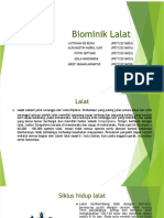 Biomik Lalat