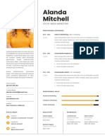 03 Professional CV Resume