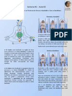 Semana #1 - Aula 03: O 4º e 5º Chakras e As Técnicas de Elevar A Kundalini e Dar Os Bandhans