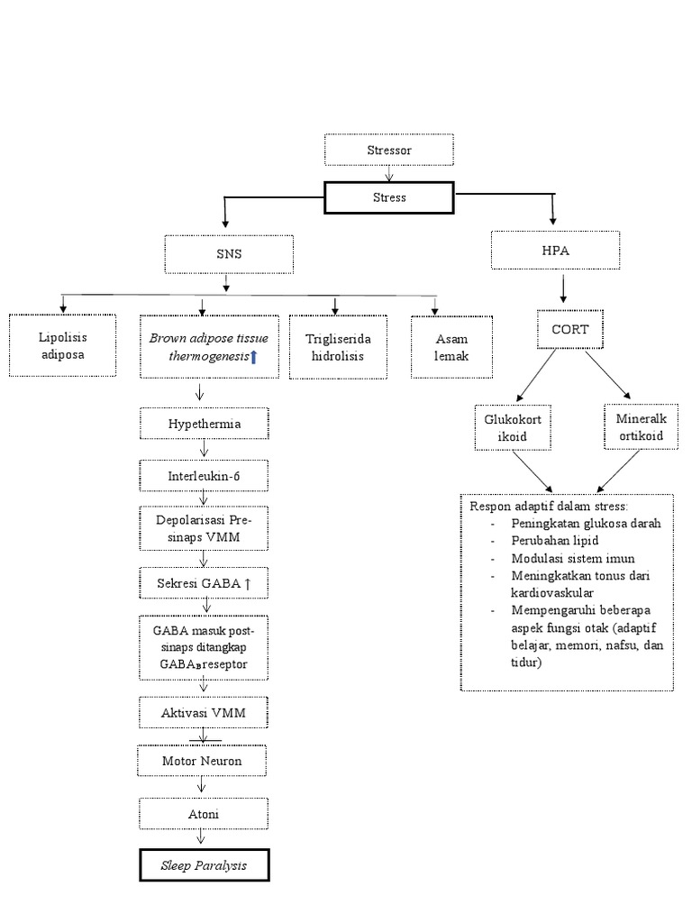 Kerangka Konseptual | PDF