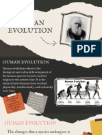 Human Evolution