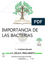 027 Importancia de Las Bacterias