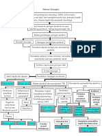 Pathway Meningitis