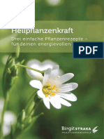 Drei Einfache Pflanzenrezepte