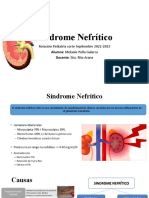 Síndrome nefrítico pediatría: causas, manifestaciones y tratamiento