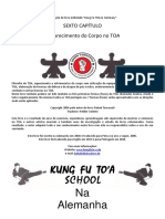 Tradução Do Livro Intitulado Kung Fu TOA in Germany. SEXTO CAPÍTULO Endurecimento Do Corpo No TOA