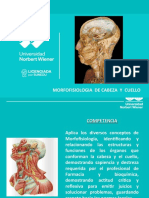 Morfofisiologia de Cabeza Y Cuello