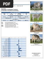 Top 100 TPI International Bulls | PDF