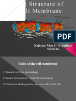 Cell Membrane Report