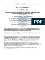 Formato Informe Laboratorio Revista EJE (IEEE)