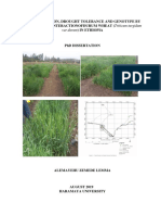 Genetic Erosion, Drought Tolerance and Genotype by Environmentinteractionofdurum Wheat (Triticum Turgidum