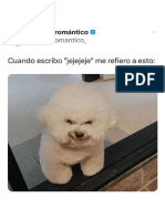 Perrito Malo9