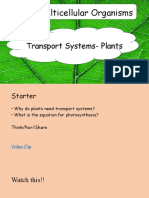 Transport_in_Plants (1)