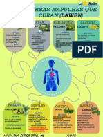 Hierbas Mapuches Que Curan : Lawen