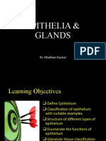 Epithelia & Glands: Dr. Madhan Kumar