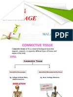 Bone & Cartilage Connective Tissue