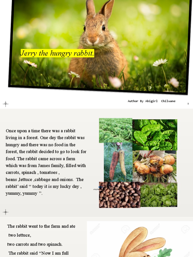 final-draft-story-book-for-grade-r-pdf-agriculture-crops