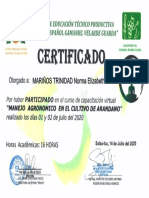 CERT ARANDANOS VIRTUAL