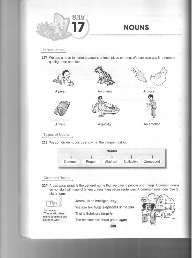 Nouns Grammar | PDF
