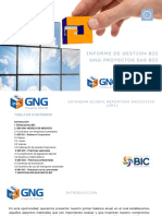 Informe Gestion GNG Proyectos SAS BIC