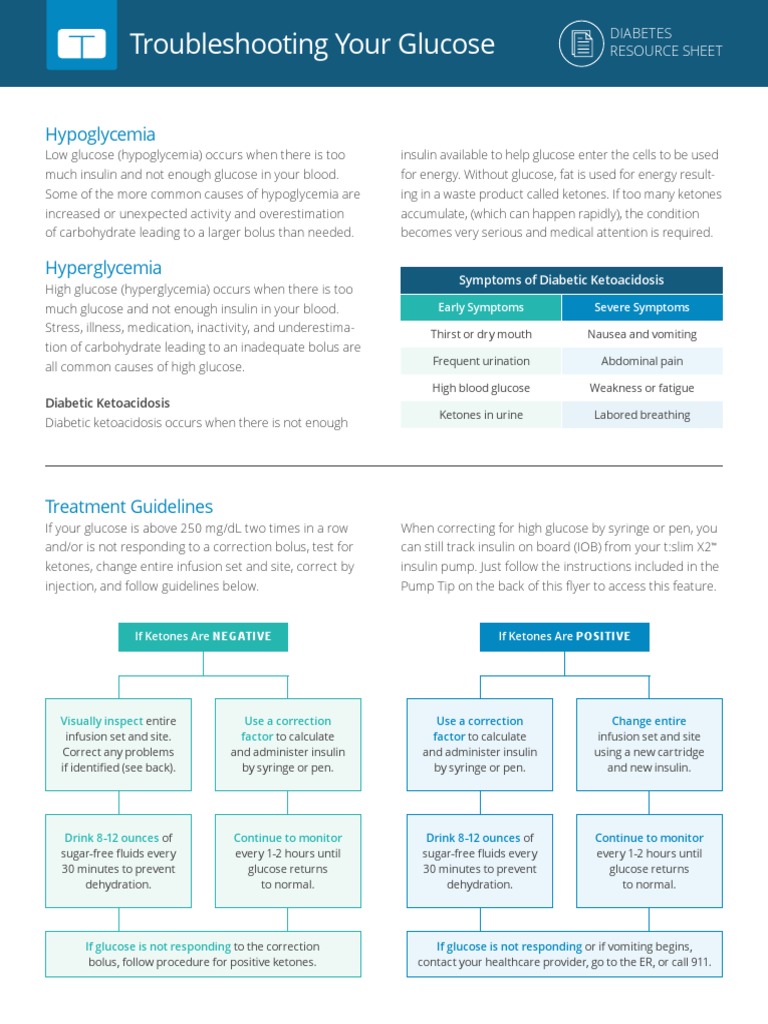 CIQ Quick Reference Sheet Packet Carb Counting & Travel Letter PDF