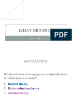 What Drives Us