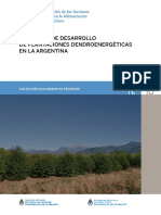 Potencial de Desarrollo de Plantaciones Dendroenergéticas en La Argentina