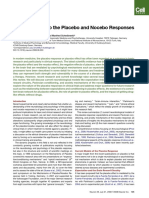 New Insights Into The Placebo and Nocebo Responses