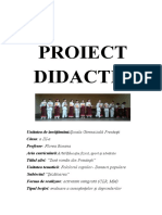 Proiect Didactic MM