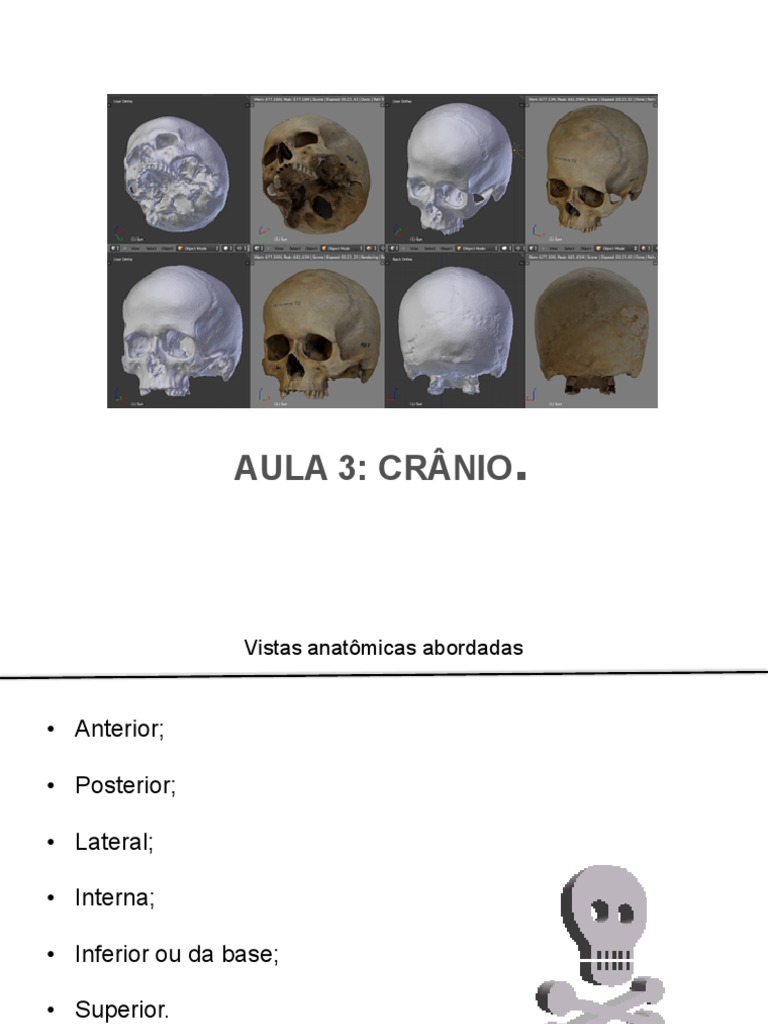 Anatomia Do Crânio Vistas Acidentes Anatômicos E Ossos Pdf Crânio