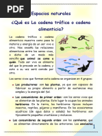 Espacios Naturales ¿Qué Es La Cadena Trófica o Cadena Alimenticia?