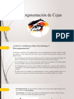 Micropigmentación de Cejas