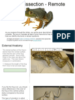 Frog Dissection (Remote)