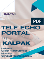 Tele-Echo Portal: Kalpak