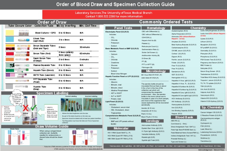 LTD Order of Blood Draw and Specimen Collection Guide - Blank - Copy ...