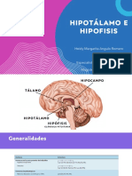 Hipotalamo - Hipofisis