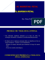 Pruebas de Bienestar Fetal