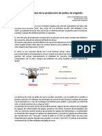 Los 10 días olvidados de la producción de pollos de engorde